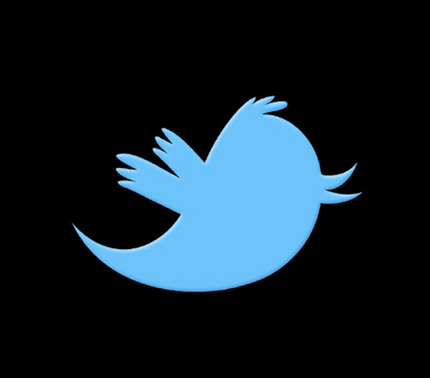 twitter bird silhouette