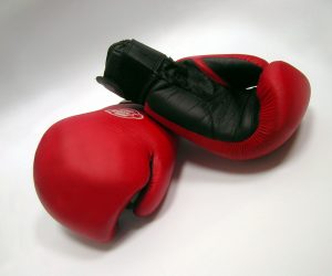 Boxing Gloves