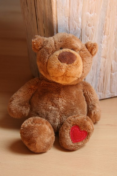 teddy1