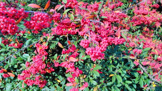 IMG 20121027 150707