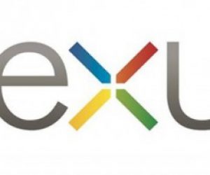 Google Nexus Logo