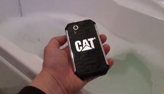 cat phone11