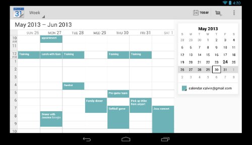 wpid Google Calendar Screenshot.png