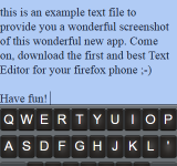 Its not just a text editor, its a Firefox OS text editor