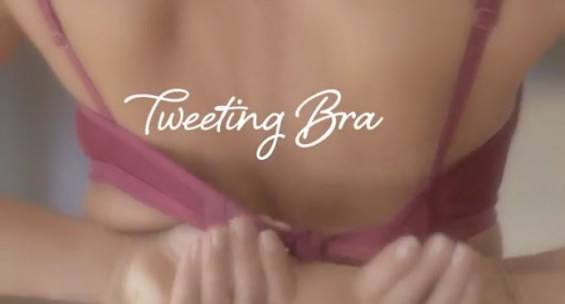 tweeting bra1