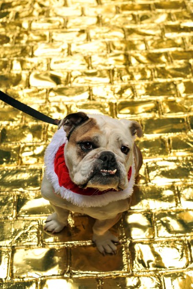 HTC PAVES THE STREETS WITH GOLD THIS CHRISTMAS