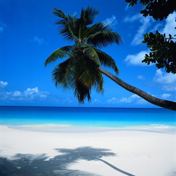 A gorgeous beach in Cancun