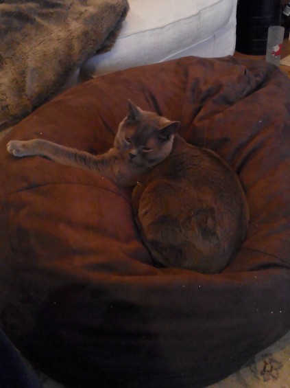 George on a Beanbag