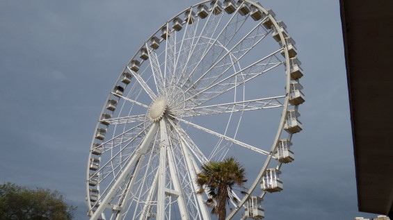 wheel