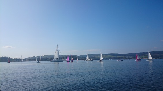 DSC 0006
