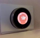 Nest Review