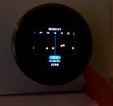 Nest Review