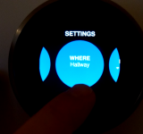 Nest Review