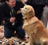 CES   Day one. Terrible carpets.