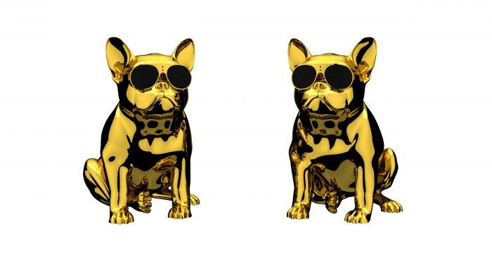 AeroBull XS1 Gold white background