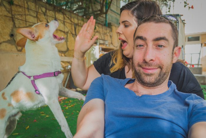 Playful and excited dog interrupt to couple to be photographed