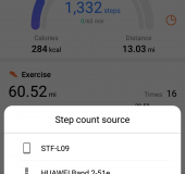 Huawei Band 2 Pro Fitness Tracker   Review