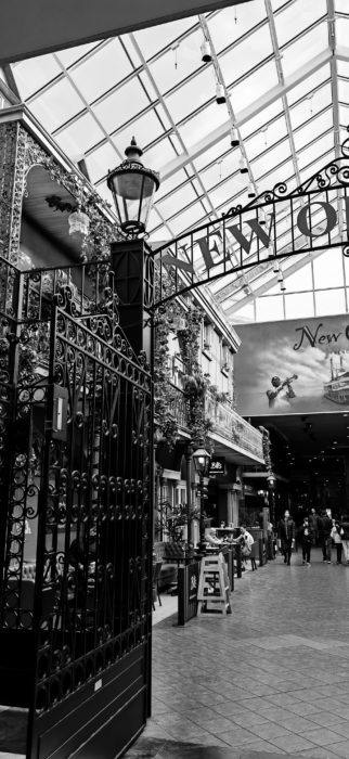 IMG 20230415 170711 edit 30848992080418