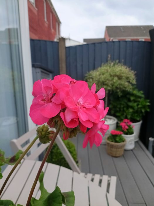 TCL 60r 5G   Review