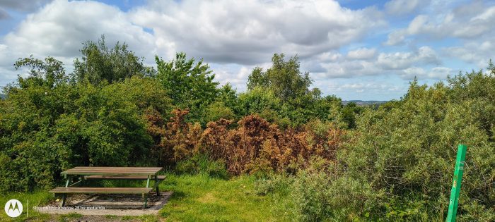 IMG 20250613 105213716 HDR AE