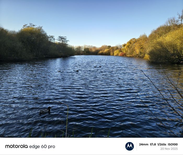 img 20251120 141034529 hdr559086338582401969.jpg