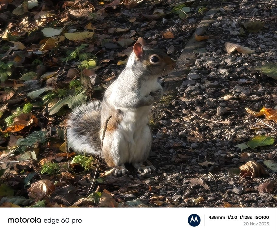 Motorola Edge 60 Pro   Review.